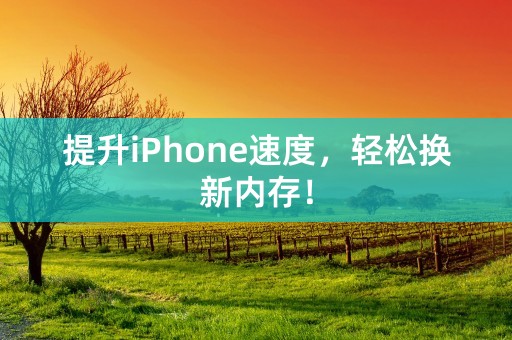 提升iPhone速度，轻松换新内存！