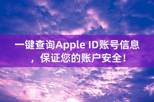 一键查询Apple ID账号信息，保证您的账户安全！