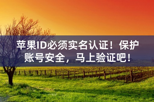 苹果ID必须实名认证！保护账号安全，马上验证吧！