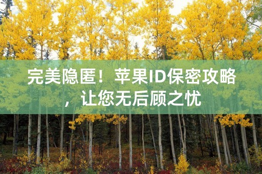 完美隐匿！苹果ID保密攻略，让您无后顾之忧