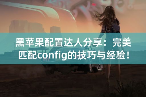 黑苹果配置达人分享：完美匹配config的技巧与经验！