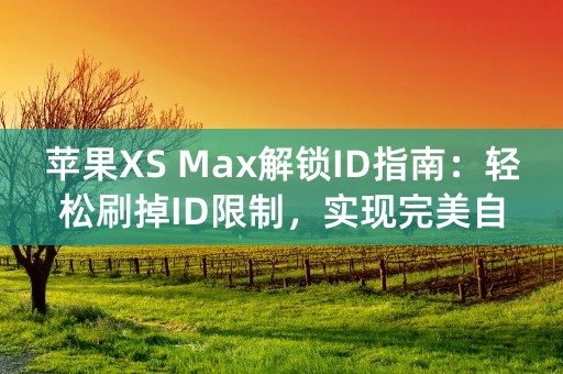 苹果XS Max解锁ID指南：轻松刷掉ID限制，实现完美自由