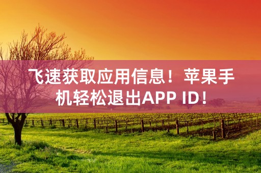 飞速获取应用信息！苹果手机轻松退出APP ID！