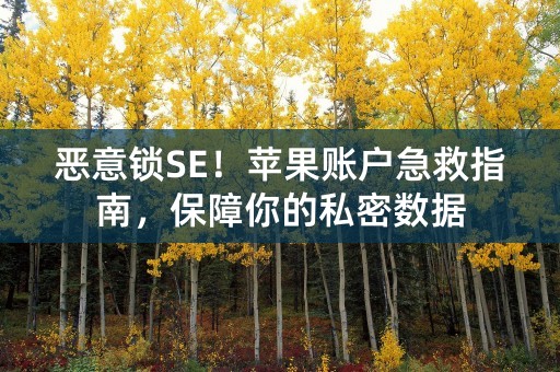 恶意锁SE！苹果账户急救指南，保障你的私密数据