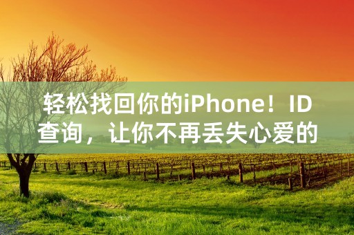 轻松找回你的iPhone！ID查询，让你不再丢失心爱的手机！