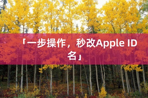 「一步操作，秒改Apple ID名」