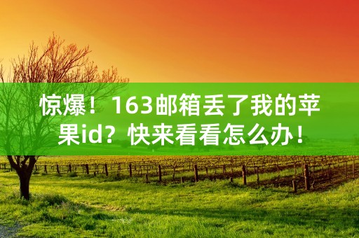 惊爆！163邮箱丢了我的苹果id？快来看看怎么办！