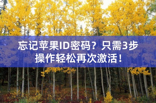 忘记苹果ID密码？只需3步操作轻松再次激活！