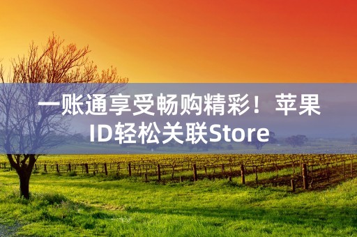 一账通享受畅购精彩！苹果ID轻松关联Store