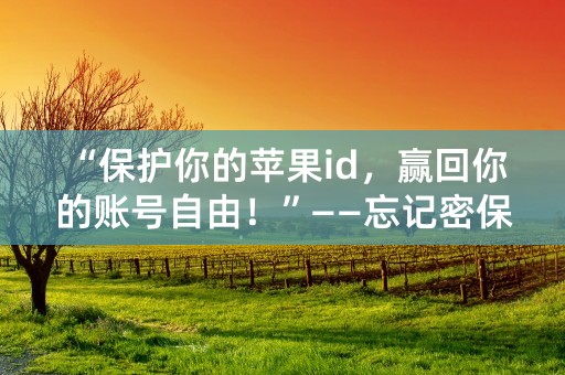 “保护你的苹果id，赢回你的账号自由！”——忘记密保答案如何解锁，方法教学！