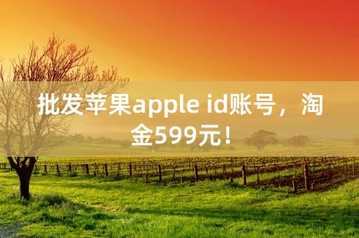 批发苹果apple id账号，淘金599元！