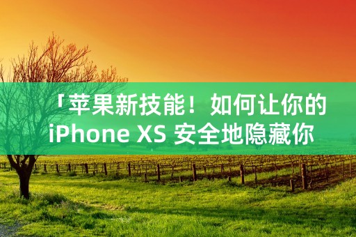 「苹果新技能！如何让你的 iPhone XS 安全地隐藏你的身份信息？」