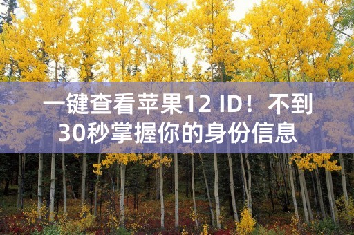 一键查看苹果12 ID！不到30秒掌握你的身份信息