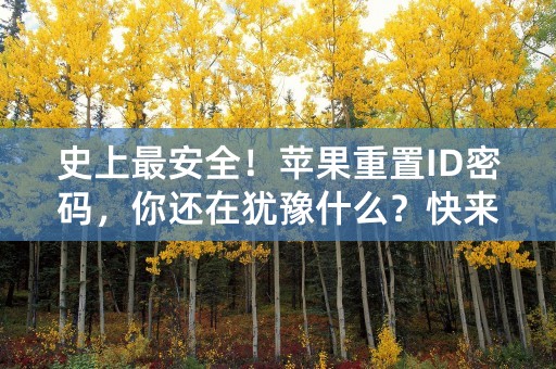 史上最安全！苹果重置ID密码，你还在犹豫什么？快来保护你的账号！