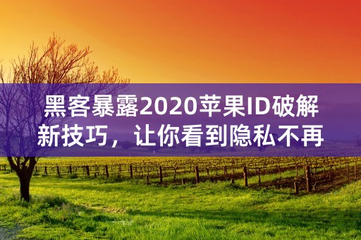 黑客暴露2020苹果ID破解新技巧，让你看到隐私不再是梦