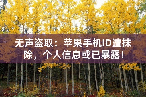 无声盗取：苹果手机ID遭抹除，个人信息或已暴露！