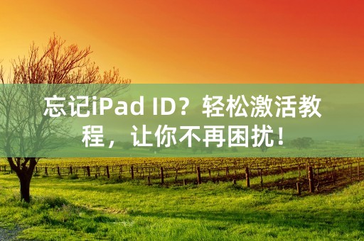 忘记iPad ID？轻松激活教程，让你不再困扰！