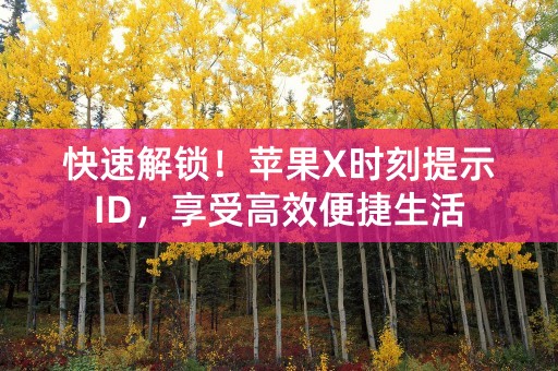 快速解锁！苹果X时刻提示ID，享受高效便捷生活