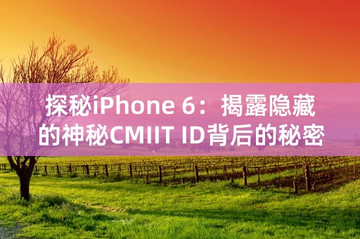 探秘iPhone 6：揭露隐藏的神秘CMIIT ID背后的秘密