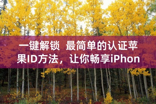 一键解锁  最简单的认证苹果ID方法，让你畅享iPhone新玩法！