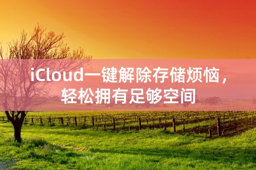 iCloud一键解除存储烦恼，轻松拥有足够空间