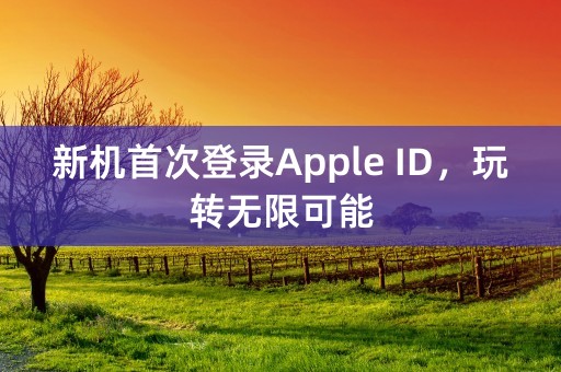 新机首次登录Apple ID，玩转无限可能