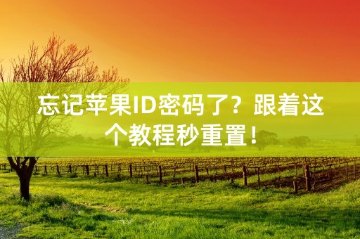 忘记苹果ID密码了？跟着这个教程秒重置！