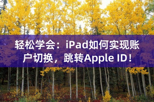 轻松学会：iPad如何实现账户切换，跳转Apple ID！