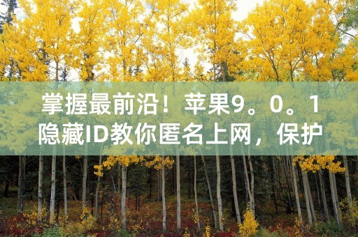 掌握最前沿！苹果9。0。1隐藏ID教你匿名上网，保护个人隐私！