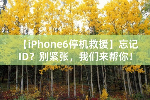 【iPhone6停机救援】忘记ID？别紧张，我们来帮你！