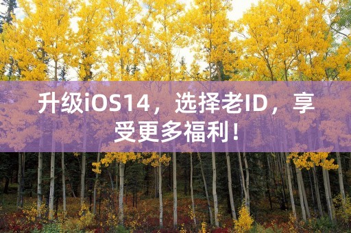 升级iOS14，选择老ID，享受更多福利！