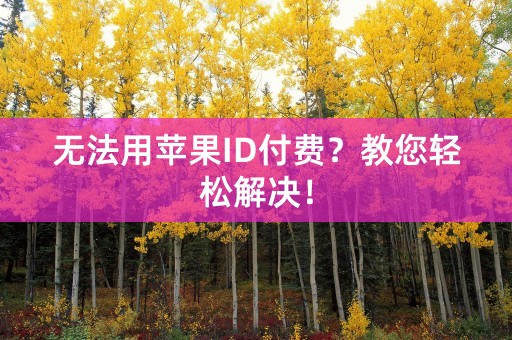 无法用苹果ID付费？教您轻松解决！