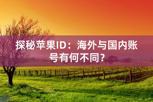 探秘苹果ID：海外与国内账号有何不同？