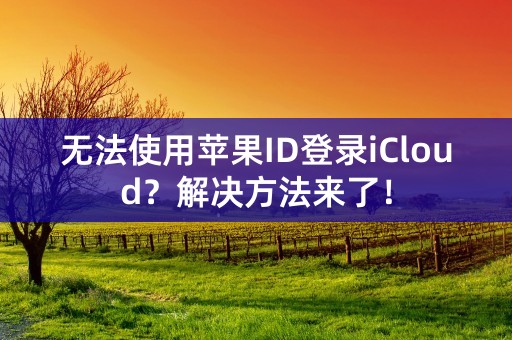 无法使用苹果ID登录iCloud？解决方法来了！