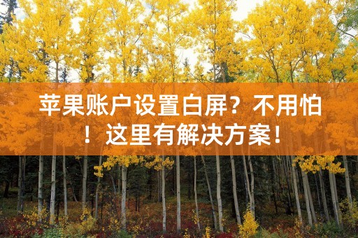 苹果账户设置白屏？不用怕！这里有解决方案！