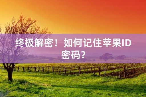 终极解密！如何记住苹果ID密码？