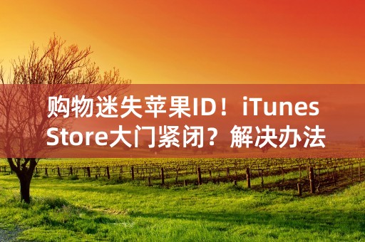 购物迷失苹果ID！iTunes Store大门紧闭？解决办法来了！