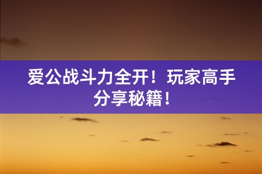 爱公战斗力全开！玩家高手分享秘籍！