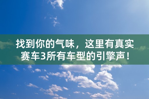 找到你的气味，这里有真实赛车3所有车型的引擎声！