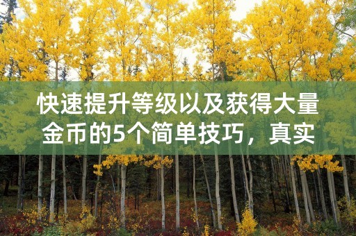 快速提升等级以及获得大量金币的5个简单技巧，真实赛车3等你来玩！