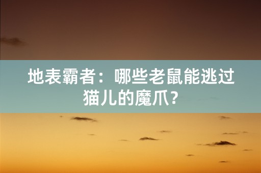 地表霸者：哪些老鼠能逃过猫儿的魔爪？