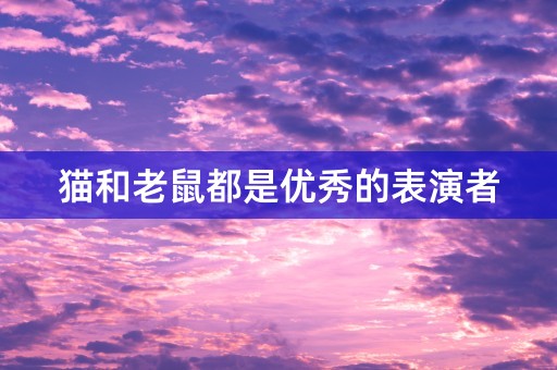 猫和老鼠都是优秀的表演者