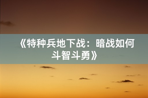 《特种兵地下战：暗战如何斗智斗勇》