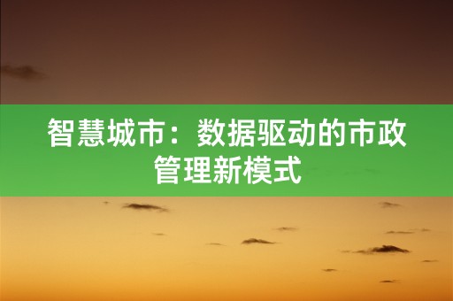 智慧城市：数据驱动的市政管理新模式