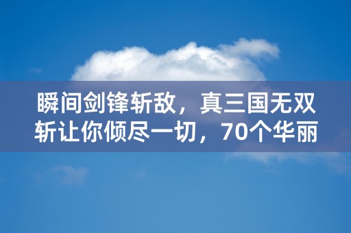 瞬间剑锋斩敌，真三国无双斩让你倾尽一切，70个华丽字。