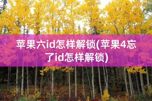 苹果六id怎样解锁(苹果4忘了id怎样解锁)