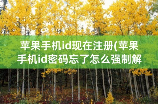 苹果手机id现在注册(苹果手机id密码忘了怎么强制解除)