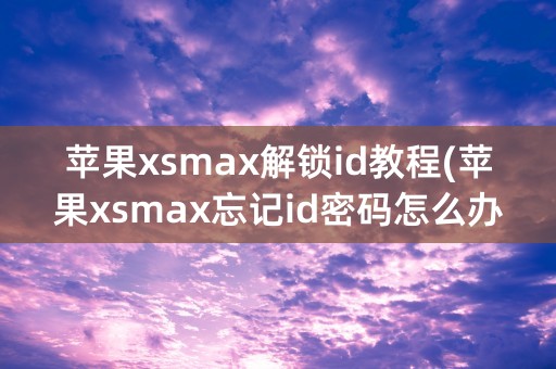 苹果xsmax解锁id教程(苹果xsmax忘记id密码怎么办)