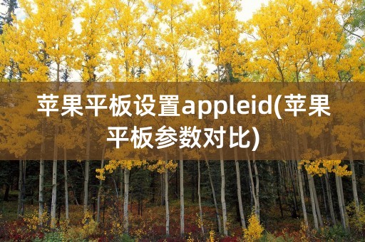 苹果平板设置appleid(苹果平板参数对比)