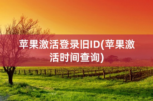 苹果激活登录旧ID(苹果激活时间查询)